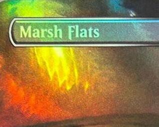 Foil Arid Mesa Marsh Flats Mis - Board Game Verdant ulasan dan harga